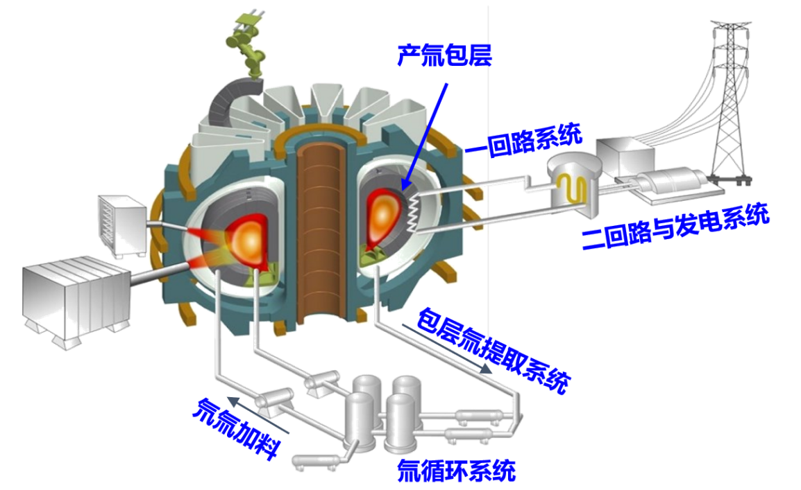 Section image
